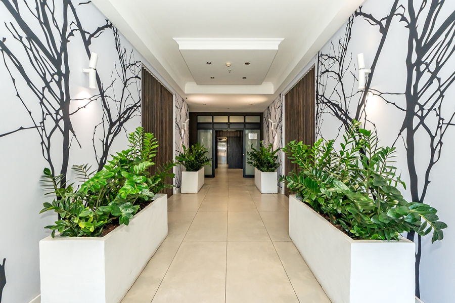 To Let 1 Bedroom Property for Rent in De Waterkant Western Cape